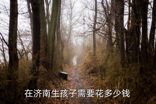 濟南省婦幼產(chǎn)檢花多少錢,在濟南生孩子需要花多少錢