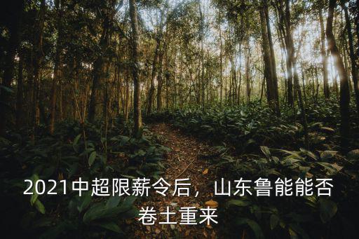 山東魯能欠薪多少,山東魯能為何這么財大氣粗