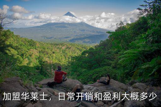 加盟華萊士，日常開銷和盈利大概多少