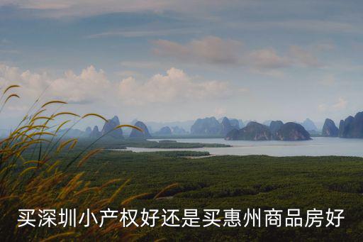 買深圳小產(chǎn)權(quán)房該怎么選房子最好,在深圳買小產(chǎn)權(quán)房