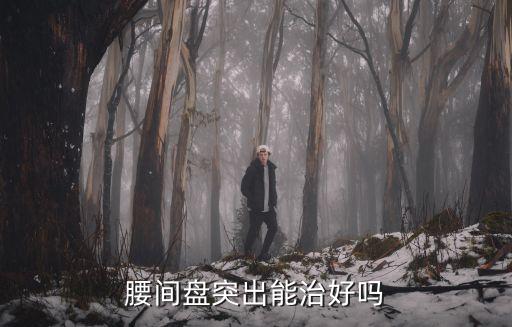 腰間盤突出能治好嗎