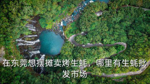 東莞烤生蠔去哪里進(jìn)貨,哪里有生蠔批發(fā)市場