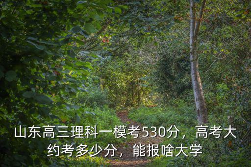 廣東一模530分高考多少分,預計高考能考多少分