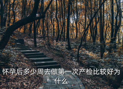 懷孕后多少周去做第一次產檢比較好為什么