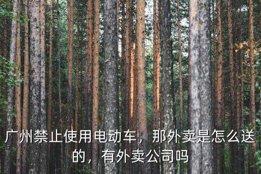 廣州禁止使用電動車，那外賣是怎么送的，有外賣公司嗎
