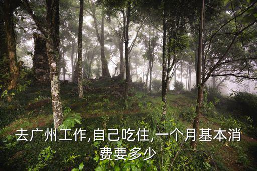 廣州臨工工資一天多少,在廣州打工一個月工資有多少