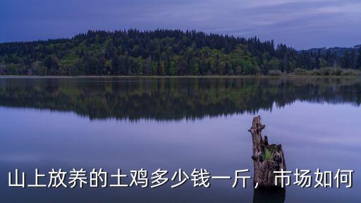 浙江諸暨散養雞多少錢一斤,山上放養的土雞多少錢一斤