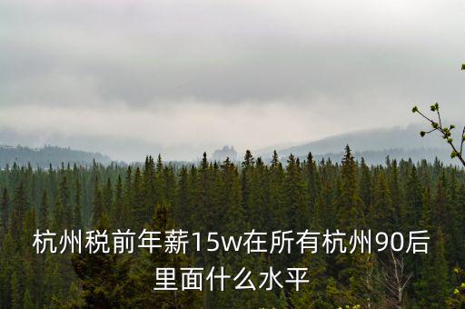 杭州稅前25萬年薪到手多少,在杭州稅前年薪20萬