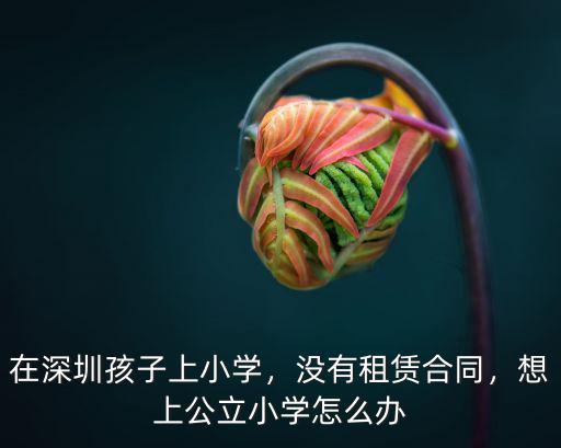 如果在深圳上不了公辦學校怎么辦,在深圳孩子上小學