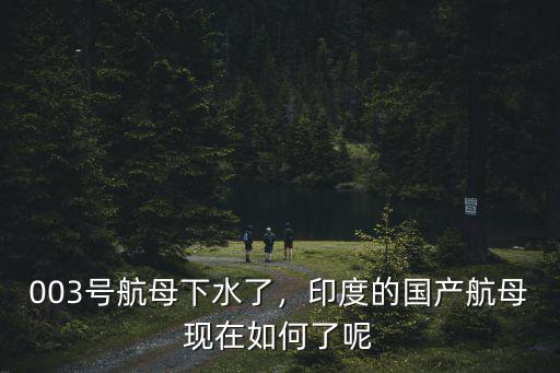 003號(hào)航母下水了，印度的國產(chǎn)航母現(xiàn)在如何了呢