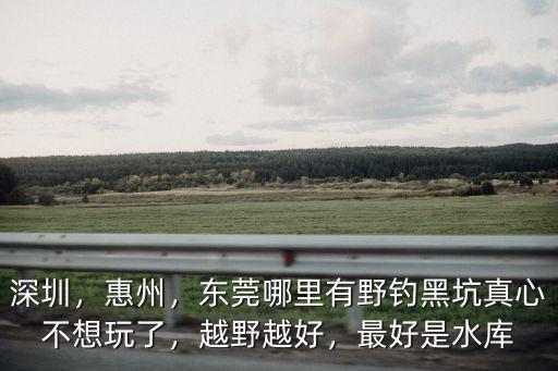 深圳，惠州，東莞哪里有野釣黑坑真心不想玩了，越野越好，最好是水庫