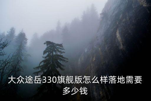 麗水上汽大眾330落地價(jià)多少錢,在上海落地大概多少錢