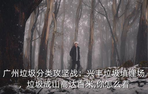 廣州市興豐生活垃圾衛(wèi)生填埋場怎么樣,興豐垃圾填埋場