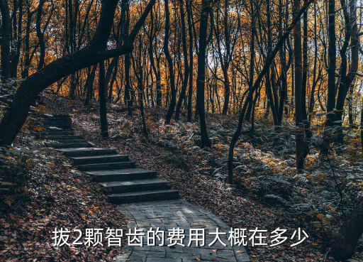 拔2顆智齒的費用大概在多少