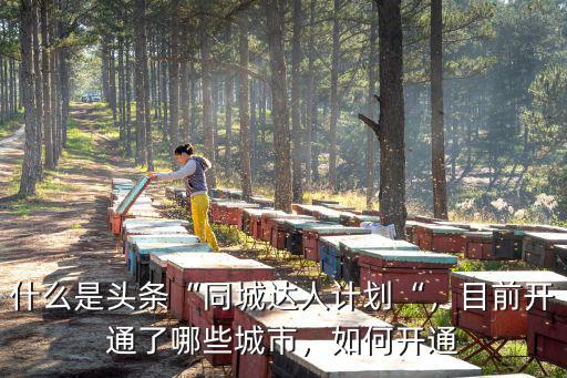 東莞市同城達(dá)人怎么申請(qǐng),什么是頭條同城達(dá)人計(jì)劃
