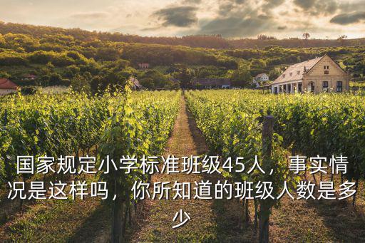 深圳小學(xué)規(guī)定一個班多少人,國家規(guī)定小學(xué)標(biāo)準(zhǔn)班級45人