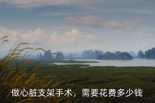 煙臺做心臟支架多少錢,做心臟支架手術(shù)