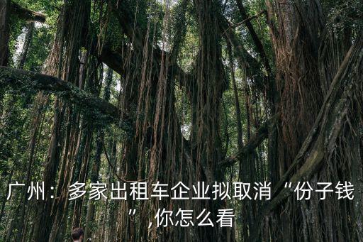 廣州：多家出租車企業擬取消“份子錢”,你怎么看