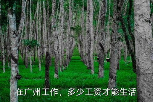 在廣州一天三頓的廚師多少錢,廣東廚師學(xué)校學(xué)費大概多少