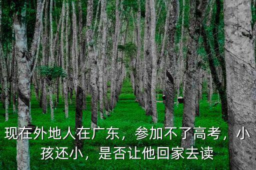 外地人怎么讓小孩在廣州高考,廣州戶籍異地學籍怎么高考