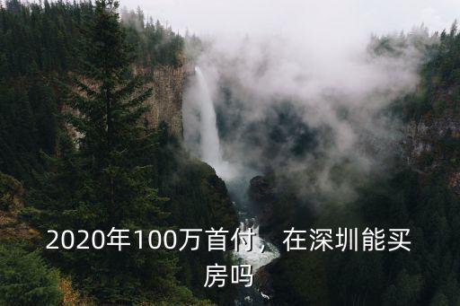 2020年100萬首付，在深圳能買房嗎