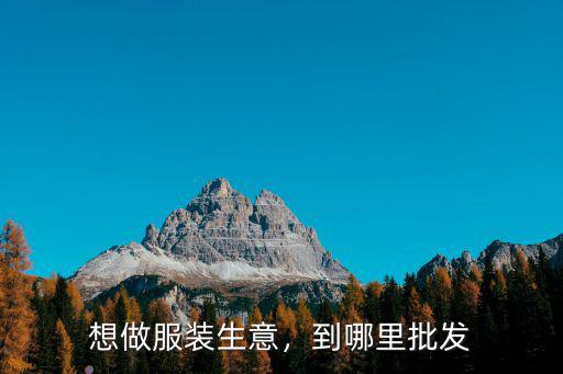 想做服裝生意，到哪里批發(fā)