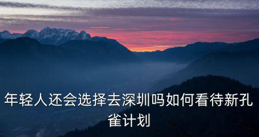 孔雀計劃深圳 一年給多少錢,如何看待新孔雀計劃