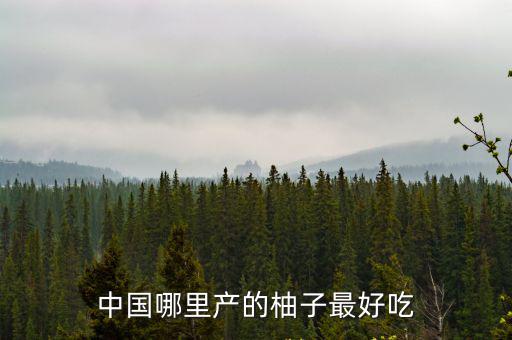 中國哪里產的柚子最好吃