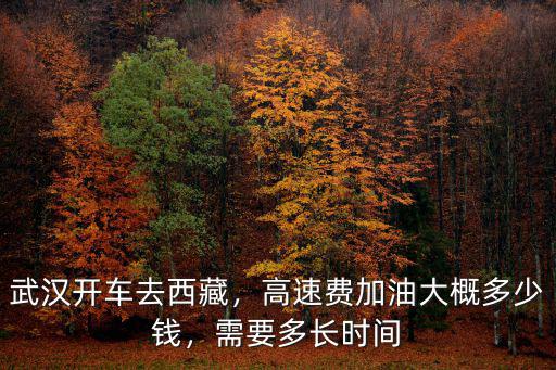 武漢到嘉興高速費多少,武漢開車去西藏