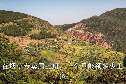 在煙草專賣局上班，一個(gè)月能領(lǐng)多少工資