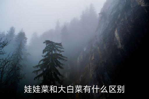 娃娃菜和大白菜有什么區別