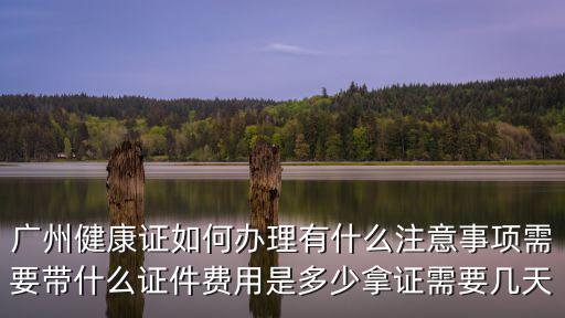廣州食品類的健康證哪里辦 需要什么,廣州健康證如何辦理