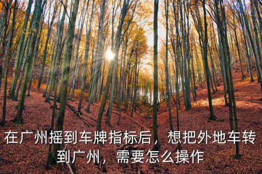 廣州今年車牌搖號怎么搖,在廣州搖到車牌指標后