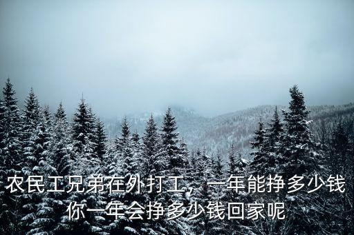 農民工兄弟在外打工，一年能掙多少錢你一年會掙多少錢回家呢