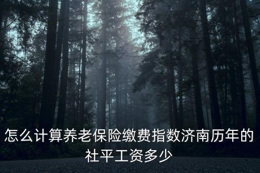 怎么計算養老保險繳費指數濟南歷年的社平工資多少