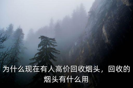廣州哪里有回收煙頭的地方,哪里有回收煙頭的