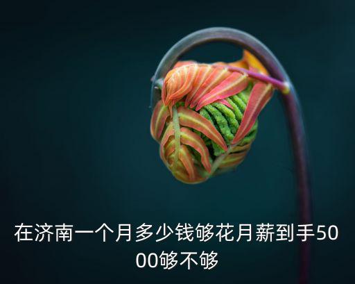濟(jì)南工資需要多少錢一個(gè)月,一個(gè)月掙多少錢才能穩(wěn)定生活