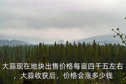 菏澤今年一畝地大蒜能掙多少錢,今年大蒜行情怎么樣