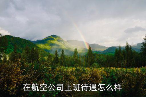 深圳九章數(shù)據(jù)公司怎么樣,在航空公司上班待遇怎么樣