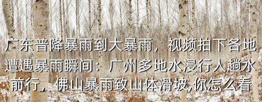 廣東普降暴雨到大暴雨，視頻拍下各地遭遇暴雨瞬間：廣州多地水浸行人趟水前行，佛山暴雨致山體滑坡,你怎么看