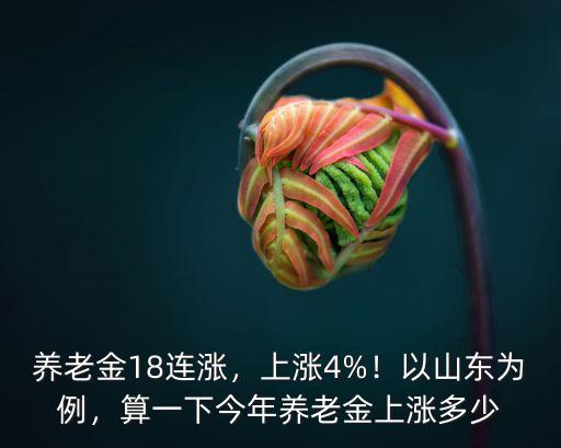 山東臨沂養(yǎng)老金上調(diào)多少,養(yǎng)老金18連漲