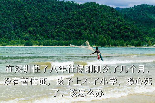 在深圳住了八年社保剛剛交了幾個月，沒有暫住證，孩子上不了小學，揪心死了，該怎么辦
