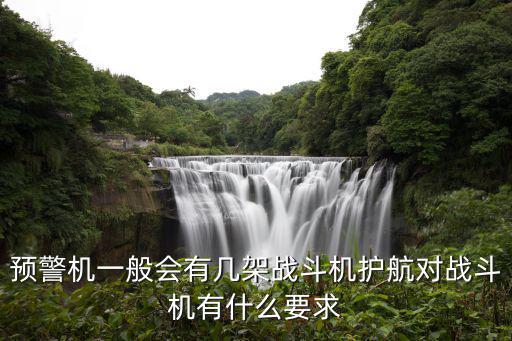湛江有多少架戰斗機,中國有多少架戰斗機