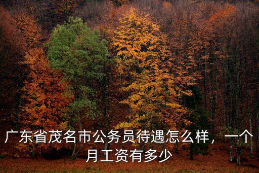 廣東省茂名市公務(wù)員待遇怎么樣，一個月工資有多少