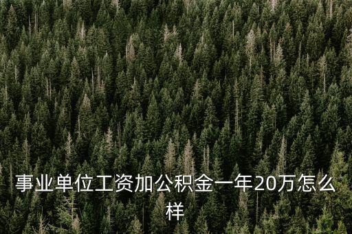 深圳一年20萬收入怎么樣呢,20萬年薪在深圳是什么水平
