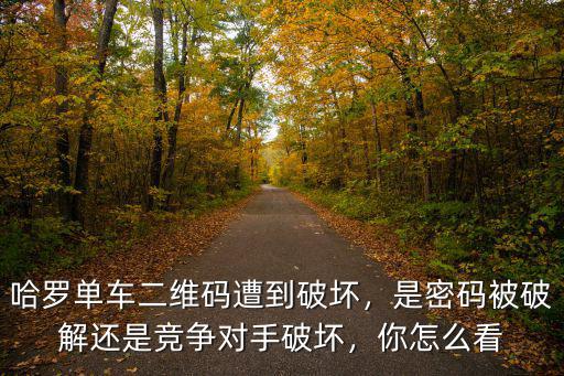 哈羅單車二維碼遭到破壞，是密碼被破解還是競爭對手破壞，你怎么看