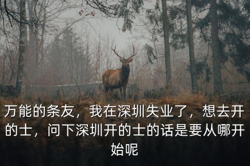 萬能的條友，我在深圳失業了，想去開的士，問下深圳開的士的話是要從哪開始呢