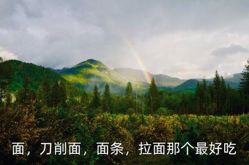 面，刀削面，面條，拉面那個最好吃