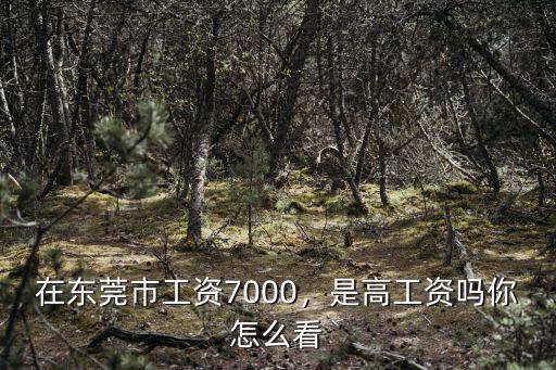 在東莞6000塊工資怎么樣,在東莞市工資7000