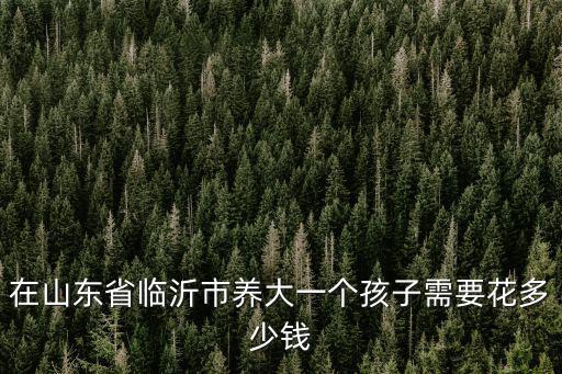 在山東省臨沂市養(yǎng)大一個孩子需要花多少錢